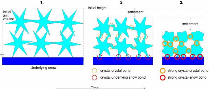 Snow Sintering