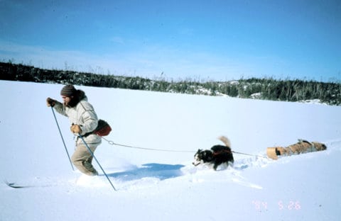 Tobboggan